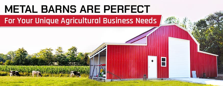 Metal Barns Are Perfect for Your Unique Agricultural Business Needs — Get Carports blog