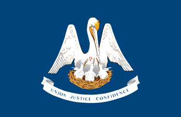 LA flag