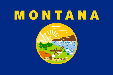 MT flag