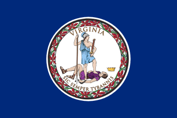 VA flag