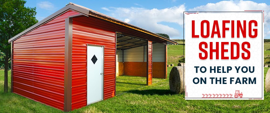 Loafing Sheds to Help You on the Farm