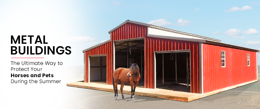 Metal Buildings: The Ultimate Way to Protect Your Horses and Pets During the Summer