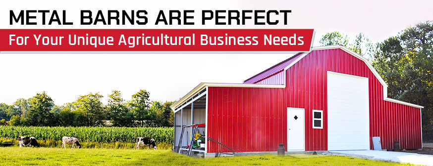 Metal Barns Are Perfect for Your Unique Agricultural Business Needs